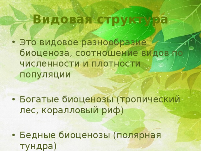 Видовая структура Это видовое разнообразие биоценоза, соотношение видов по численности и плотности популяции Богатые биоценозы (тропический лес, коралловый риф) Бедные биоценозы (полярная тундра) 