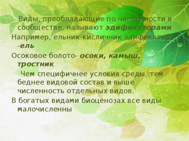  Виды, преобладающие по численности в сообществе, называют эдификаторами Например, ельник-кисличник эдификатор - ель Осоковое болото- осоки, камыш, тростник  Чем специфичнее условия среды, тем беднее видовой состав и выше численность отдельных видов. В богатых видами биоценозах все виды малочисленны 