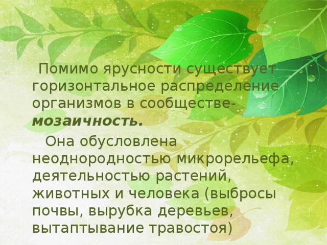  Помимо ярусности существует горизонтальное распределение организмов в сообществе- мозаичность.  Она обусловлена неоднородностью микрорельефа, деятельностью растений, животных и человека (выбросы почвы, вырубка деревьев, вытаптывание травостоя) 