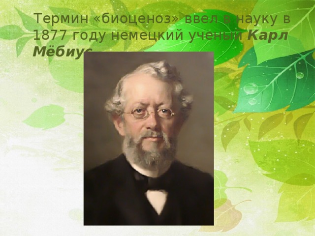  Термин «биоценоз» ввел в науку в 1877 году немецкий ученый Карл Мёбиус . 