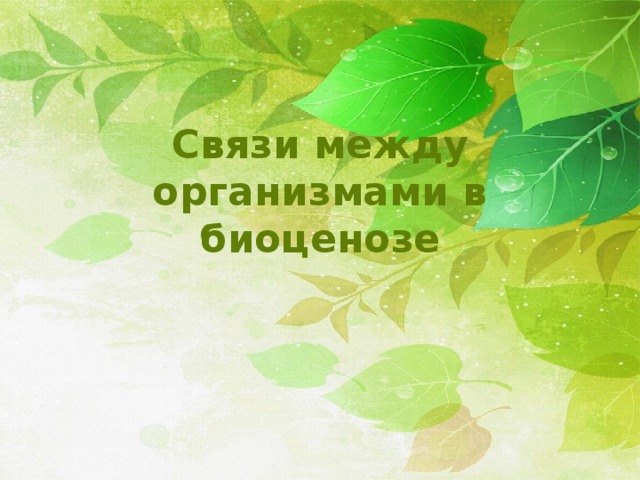Связи между организмами в биоценозе 
