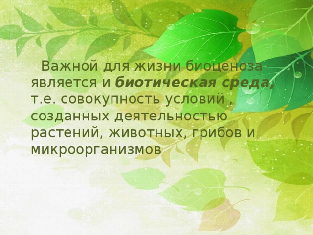  Важной для жизни биоценоза является и биотическая среда, т.е. совокупность условий , созданных деятельностью растений, животных, грибов и микроорганизмов 