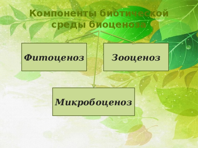 Компоненты биотической среды биоценоза Фитоценоз Зооценоз Микробоценоз 