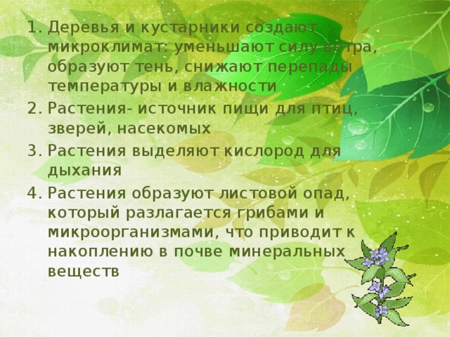 Деревья и кустарники создают микроклимат: уменьшают силу ветра, образуют тень, снижают перепады температуры и влажности Растения- источник пищи для птиц, зверей, насекомых Растения выделяют кислород для дыхания Растения образуют листовой опад, который разлагается грибами и микроорганизмами, что приводит к накоплению в почве минеральных веществ 