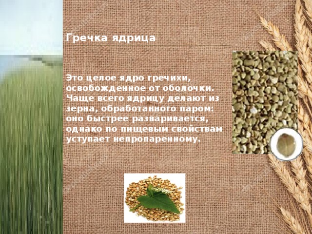 Гречка ядрица Это целое ядро гречихи, освобожденное от оболочки. Чаще всего ядрицу делают из зерна, обработанного паром: оно быстрее разваривается, однако по пищевым свойствам уступает непропаренному.  