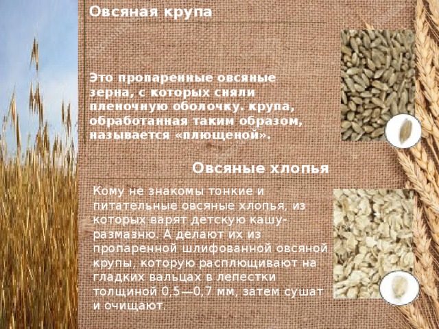 Овсяная крупа Это пропаренные овсяные зерна, с которых сняли пленочную оболочку. крупа, обработанная таким образом, называется «плющеной».   Овсяные хлопья Кому не знакомы тонкие и питательные овсяные хлопья, из которых варят детскую кашу-размазню. А делают их из пропаренной шлифованной овсяной крупы, которую расплющивают на гладких вальцах в лепестки толщиной 0,5—0,7 мм, затем сушат и очищают.  