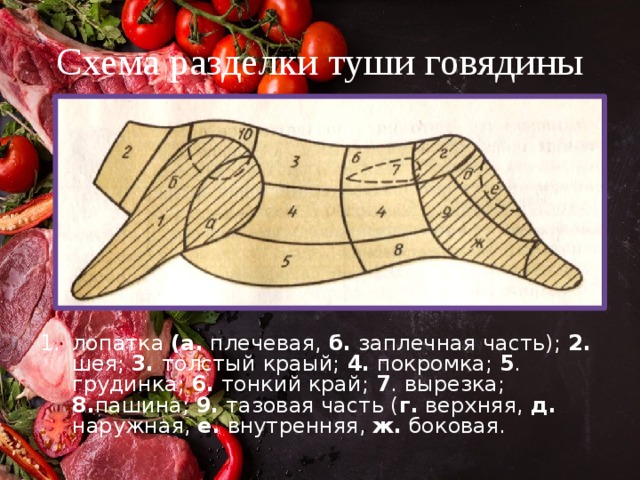 Схема разделки туши говядины лопатка (а. плечевая, б. заплечная часть); 2. шея; 3. толстый краый; 4. покромка; 5 . грудинка; 6. тонкий край; 7 . вырезка; 8. пашина; 9. тазовая часть ( г. верхняя, д. наружная, е. внутренняя, ж. боковая. 