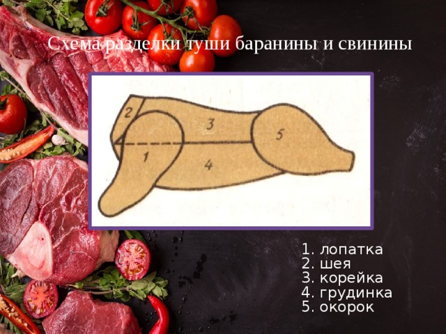 Схема разделки туши баранины и свинины 1. лопатка 2. шея 3. корейка 4. грудинка 5. окорок 