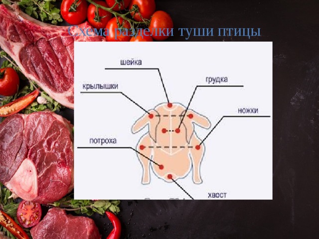Схема разделки туши птицы 