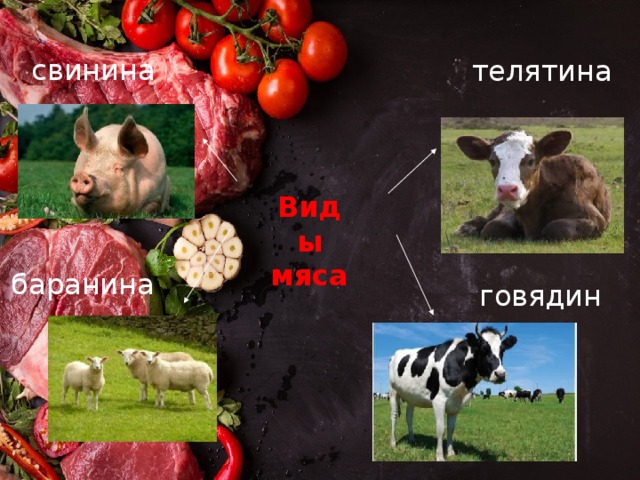 свинина телятина Виды мяса баранина говядина 