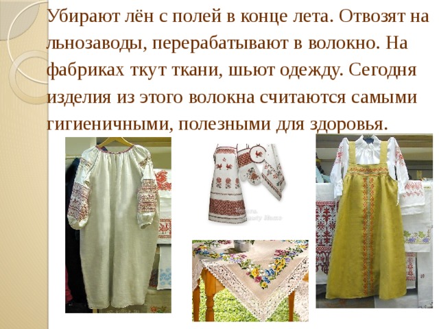 Убирают лён с полей в конце лета. Отвозят на льнозаводы, перерабатывают в волокно. На фабриках ткут ткани, шьют одежду. Сегодня изделия из этого волокна считаются самыми гигиеничными, полезными для здоровья.  