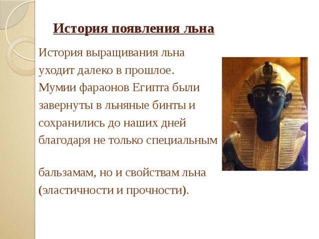 История появления льна История выращивания льна уходит далеко в прошлое. Мумии фараонов Египта были завернуты в льняные бинты и сохранились до наших дней благодаря не только специальным бальзамам, но и свойствам льна (эластичности и прочности). 