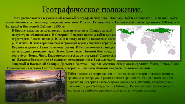 Географическое положение. Тайга располагается в умеренной влажной географической зоне. Площадь Тайги составляет 15 млн км². Тайга - самая большая по площади ландшафтная зона России. Её ширина в Европейской части достигает 800 км, а в Западной и Восточной Сибири - 2150 км. В Европе таёжные леса занимают практически весь Скандинавский полуостров и Финляндию. В Северной Америке подзона тайги занимает территорию Аляски вдоль р. Юкона и к югу от неё, а на востоке-бассейн р. Макензи. Южная граница тайги проходит вдоль северных берегов оз. Верхнее и далее к Атлантическому океану. В России южная граница тай- ги проходит примерно через Псков, Ярославль, Нижний Новгород, Ека- теринбург, Томск, Читу, Комсомольск-на-Амуре и средний Сихотэ-Алинь на Дальнем Востоке, где её сменяют смешанные леса. Большая часть Западной и Восточной Сибири, Дальнего Востока , горные массивы северного и среднего Урала, Алтая, Саян, Прибайкалья, северного Сихотэ-Алиня, северного Большого Хингана покрыты таёжными лесами. 