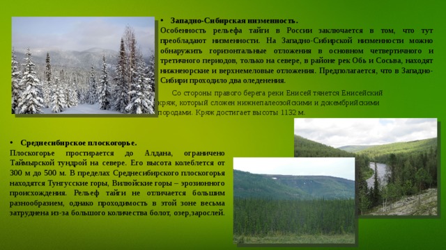 Западно-Сибирская низменность. Особенность рельефа тайги в России заключается в том, что тут преобладают низменности. На Западно-Сибирской низменности можно обнаружить горизонтальные отложения в основном четвертичного и третичного периодов, только на севере, в районе рек Обь и Сосьва, находят нижнеюрские и верхнемеловые отложения. Предполагается, что в Западно-Сибири проходило два оледенения. Со стороны правого берега реки Енисей тянется Енисейский кряж, который сложен нижнепалеозойскими и докембрийскими породами. Кряж достигает высоты 1132 м.   Среднесибирское плоскогорье. Плоскогорье простирается до Алдана, ограничено Таймырской тундрой на севере. Его высота колеблется от 300 м до 500 м. В пределах Среднесибирского плоскогорья находятся Тунгусские горы, Вилюйские горы – эрозионного происхождения. Рельеф тайги не отличается большим разнообразием, однако проходимость в этой зоне весьма затруднена из-за большого количества болот, озер,зарослей.   