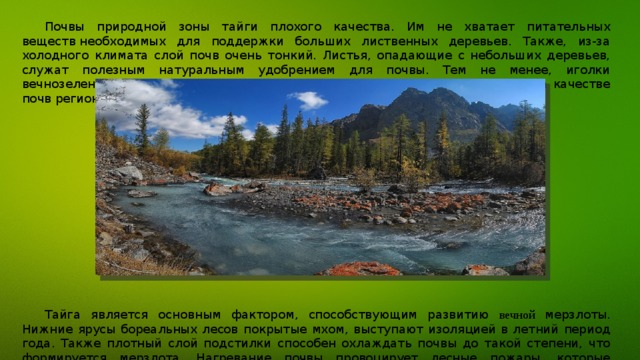 Почвы природной зоны тайги плохого качества. Им не хватает питательных веществ необходимых для поддержки больших лиственных деревьев. Также, из-за холодного климата слой почв очень тонкий. Листья, опадающие с небольших деревьев, служат полезным натуральным удобрением для почвы. Тем не менее, иголки вечнозеленых деревьев содержат кислоты, которые негативно сказываются на качестве почв региона. Тайга является основным фактором, способствующим развитию вечной мерзлоты. Нижние ярусы бореальных лесов покрытые мхом, выступают изоляцией в летний период года. Также плотный слой подстилки способен охлаждать почвы до такой степени, что формируется мерзлота. Нагревание почвы провоцирует лесные пожары, которые уничтожают лесную подстилку. Темная зола после пожаров увеличивает поглощение солнечной энергии в течение нескольких лет, нагревая вечную мерзлоту. 