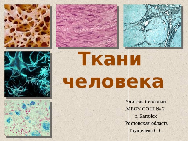 Ткани человека Учитель биологии МБОУ СОШ № 2 г. Батайск  Ростовская область Трущелева С.С. 