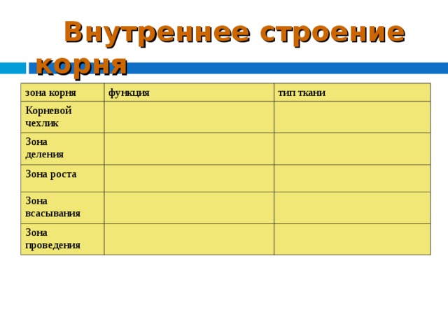  Внутреннее строение корня зона корня функция Корневой чехлик тип ткани Зона деления Зона роста Зона всасывания Зона проведения 