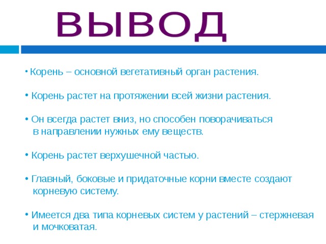  Корень – основной вегетативный орган растения.  Корень растет на протяжении всей жизни растения.   Он всегда растет вниз, но способен поворачиваться  в направлении нужных ему веществ.  Корень растет верхушечной частью.   Главный, боковые и придаточные корни вместе создают  корневую систему.  Имеется два типа корневых систем у растений – стержневая  и мочковатая. 