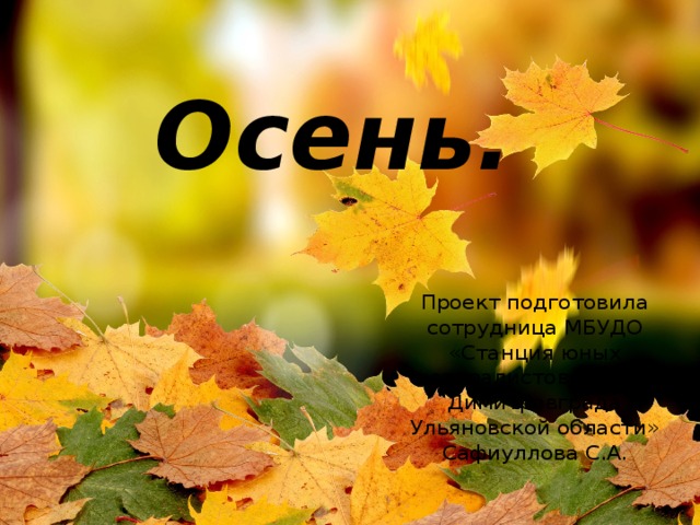 Осень. Проект подготовила сотрудница МБУДО «Станция юных натуралистов города Димитровграда Ульяновской области» Сафиуллова С.А. 