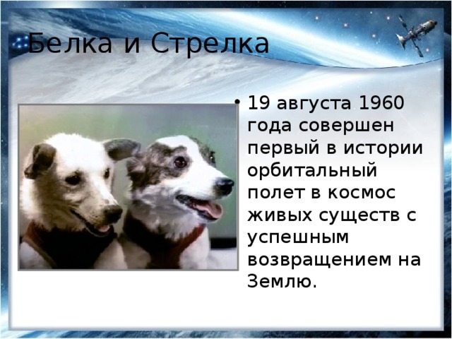 Белка и Стрелка 19 августа 1960 года совершен первый в истории орбитальный полет в космос живых существ с успешным возвращением на Землю. 