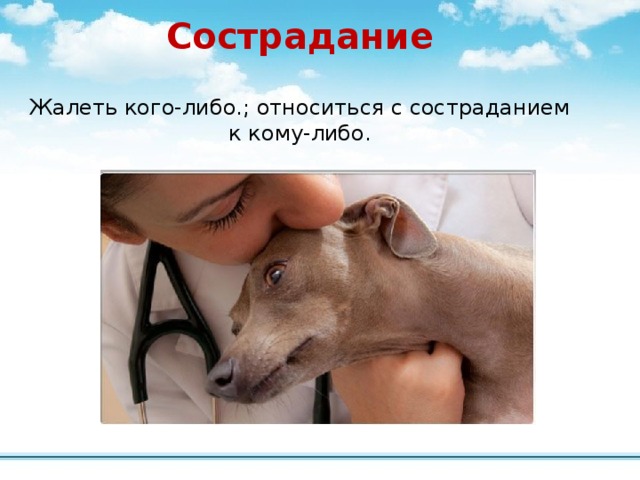             Сострадание Жалеть кого-либо.; относиться с состраданием к кому-либо. 