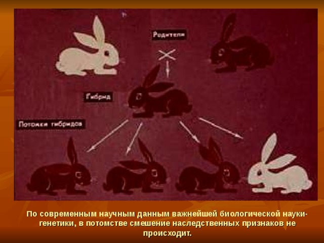 По современным научным данным важнейшей биологической науки- генетики, в потомстве смешение наследственных признаков не происходит. 
