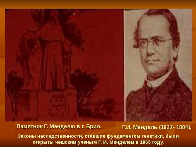 Г.И. Мендель (1822- 1884). Памятник Г. Менделю в г. Брио. Законы наследственности, ставшие фундаментом генетики, были открыты чешским ученым Г. И. Менделем в 1865 году. 