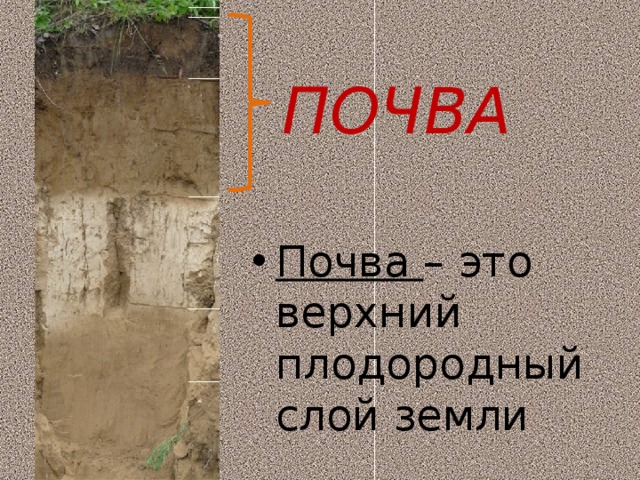 ПОЧВА Почва – это верхний плодородный слой земли 