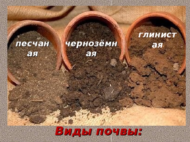глинистая песчаная чернозёмная Виды почвы: 