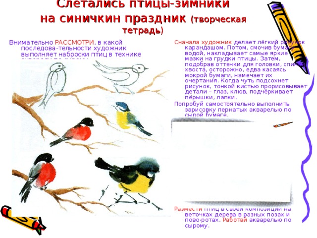 Слетались птицы-зимники  на синичкин праздник (творческая тетрадь) Сначала художник делает лёгкий рисунок карандашом. Потом, смочив бумагу водой, накладывает самые яркие мазки на грудки птицы. Затем, подобрав оттенки для головки, спинки, хвоста, осторожно, едва касаясь мокрой бумаги, намечает их очертания. Когда чуть подсохнет рисунок, тонкой кистью прорисовывает детали – глаз, клюв, подчёркивает пёрышки, лапки. Внимательно РАССМОТРИ , в какой последова-тельности художник выполняет наброски птиц в технике акварели по сырому. Попробуй самостоятельно выполнить зарисовку пернатых акварелью по сырой бумаге. Размести птиц в своей композиции на веточках дерева в разных позах и пово-ротах. Работай акварелью по сырому.  