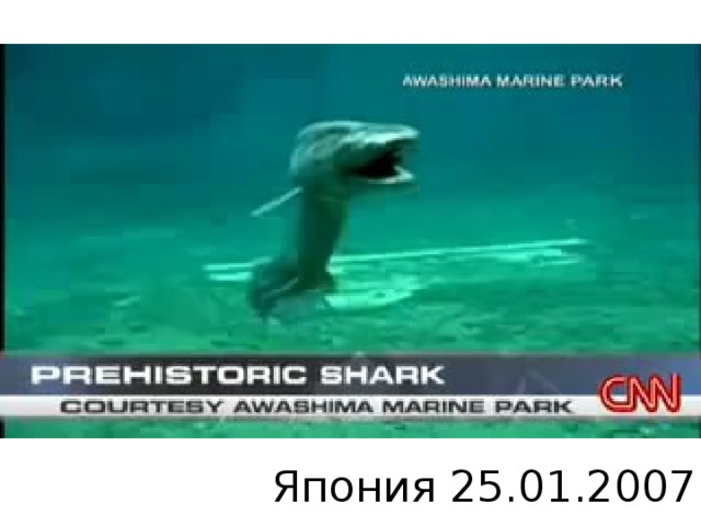 Япония 25.01.2007