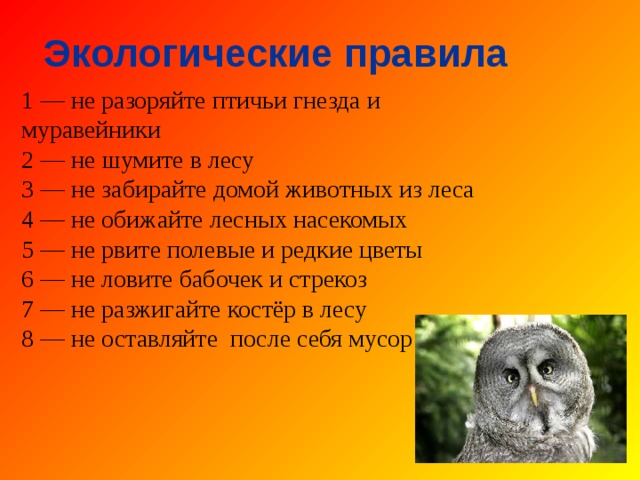 Экологические правила 1 — не разоряйте птичьи гнезда и муравейники 2 — не шумите в лесу 3 — не забирайте домой животных из леса 4 — не обижайте лесных насекомых 5 — не рвите полевые и редкие цветы 6 — не ловите бабочек и стрекоз 7 — не разжигайте костёр в лесу 8 — не оставляйте после себя мусор 