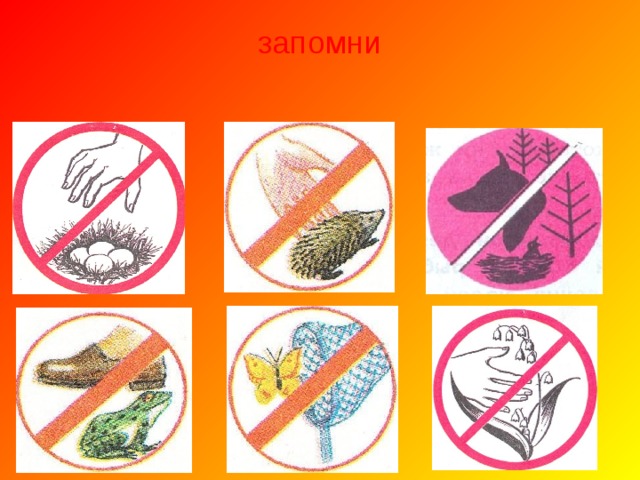запомни 