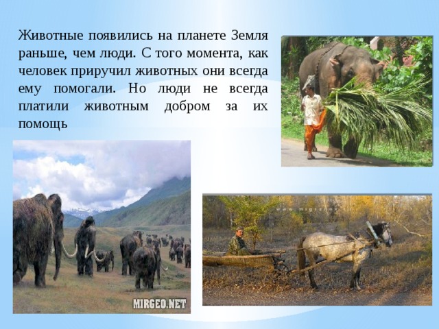 Животные появились на планете Земля раньше, чем люди. С того момента, как человек приручил животных они всегда ему помогали. Но люди не всегда платили животным добром за их помощь 