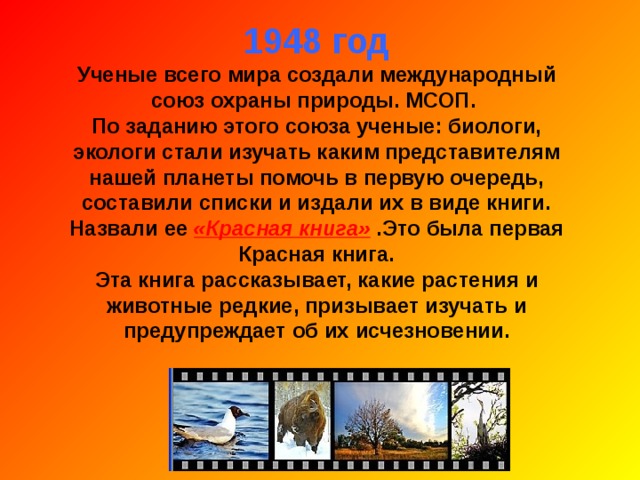 1948 год Ученые всего мира создали международный союз охраны природы. МСОП. По заданию этого союза ученые: биологи, экологи стали изучать каким представителям нашей планеты помочь в первую очередь, составили списки и издали их в виде книги. Назвали ее «Красная книга» .Это была первая Красная книга. Эта книга рассказывает, какие растения и животные редкие, призывает изучать и предупреждает об их исчезновении. 
