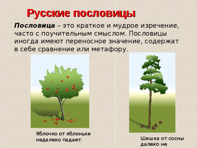 Русские пословицы Пословица – это краткое и мудрое изречение, часто с поучительным смыслом. Пословицы иногда имеют переносное значение, содержат в себе сравнение или метафору. Яблочко от яблоньки недалеко падает. Шишка от сосны далеко не откатится. 