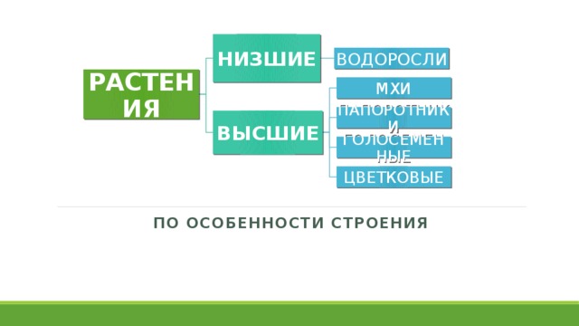 НИЗШИЕ ВОДОРОСЛИ РАСТЕНИЯ МХИ ПАПОРОТНИКИ ВЫСШИЕ ГОЛОСЕМЕННЫЕ ЦВЕТКОВЫЕ По особенности строения 