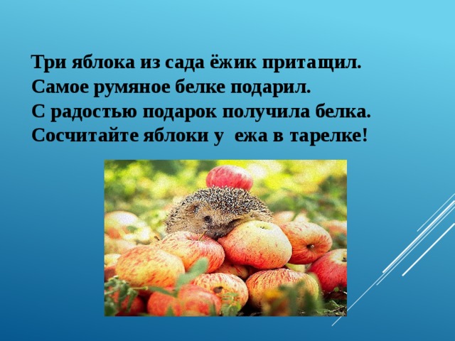 Три яблока из сада ёжик притащил.  Самое румяное белке подарил.  С радостью подарок получила белка.  Сосчитайте яблоки у ежа в тарелке! 