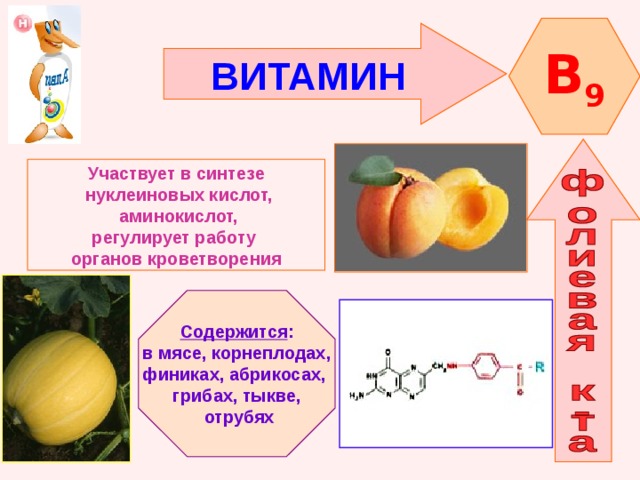 B 9 ВИТАМИН    Участвует в синтезе  нуклеиновых кислот,  аминокислот, регулирует работу органов кроветворения   Содержится : в мясе, корнеплодах, финиках, абрикосах, грибах, тыкве,  отрубях 