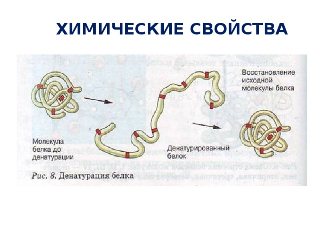 ХИМИЧЕСКИЕ СВОЙСТВА 