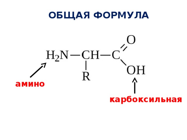 ОБЩАЯ ФОРМУЛА амино карбоксильная 
