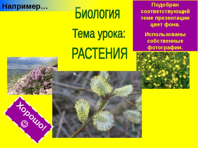Например… Подобран соответствующий теме презентации цвет фона. Использованы собственные фотографии. Хорошо!  
