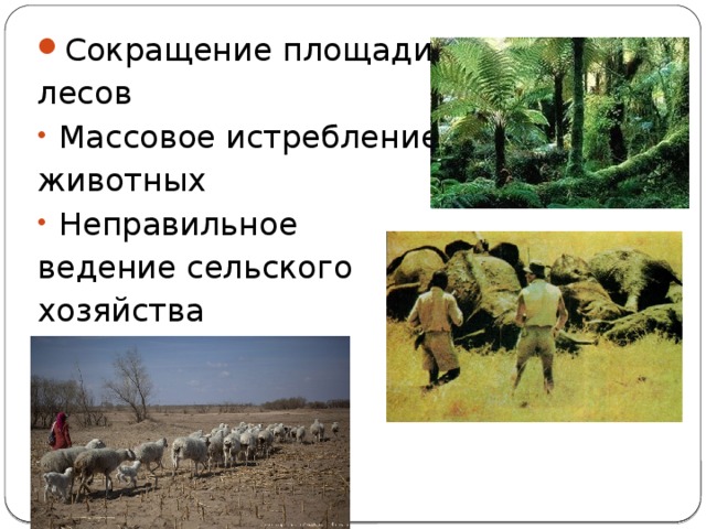 Сокращение площади лесов Массовое истребление животных Неправильное ведение сельского хозяйства 
