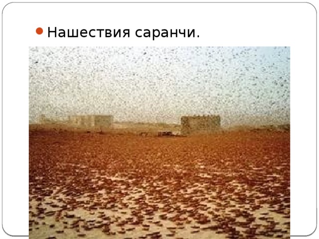 Нашествия саранчи. 
