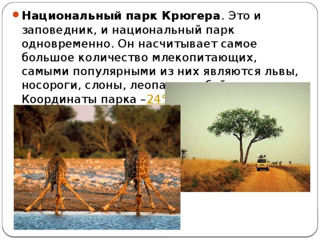 Национальный парк Крюгера . Это и заповедник, и национальный парк одновременно. Он насчитывает самое большое количество млекопитающих, самыми популярными из них являются львы, носороги, слоны, леопарды и буйволы. Координаты парка – 24°ю.  ш . 31°в. д. 