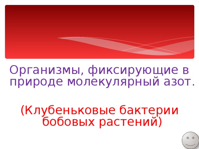 Организмы, фиксирующие в природе молекулярный азот. (Клубеньковые бактерии бобовых растений) 