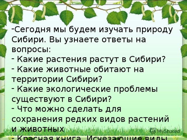 Сегодня мы будем изучать природу Сибири. Вы узнаете ответы на вопросы:  Какие растения растут в Сибири?  Какие животные обитают на территории Сибири?  Какие экологические проблемы существуют в Сибири?  Что можно сделать для сохранения редких видов растений и животных  Красная книга. Исчезающие виды растений и животных Томской области. 
