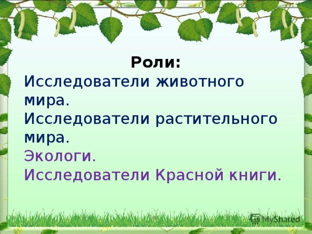 Роли: Исследователи животного мира. Исследователи растительного мира. Экологи. Исследователи Красной книги. 
