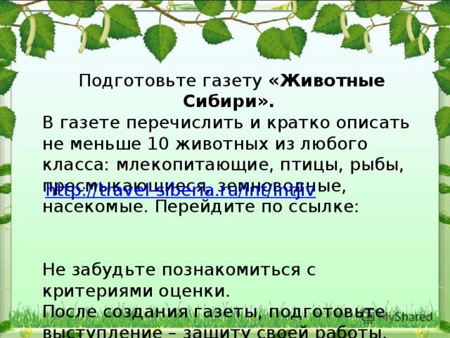 Подготовьте газету «Животные Сибири». В газете перечислить и кратко описать не меньше 10 животных из любого класса: млекопитающие, птицы, рыбы, пресмыкающиеся, земноводные, насекомые. Перейдите по ссылке: Не забудьте познакомиться с критериями оценки. После создания газеты, подготовьте выступление – защиту своей работы. http://travel-siberia.ru/int/intjiv 