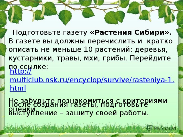 Подготовьте газету «Растения Сибири». В газете вы должны перечислить и кратко описать не меньше 10 растений: деревья, кустарники, травы, мхи, грибы. Перейдите по ссылке: Не забудьте познакомиться с критериями оценки. http:// multiclub.nsk.ru/encyclop/survive/rasteniya-1.html После создания газеты, подготовьте выступление – защиту своей работы. 